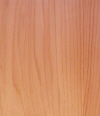 Butternut.jpg (16639 bytes)