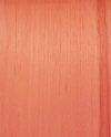 CedarSpnsh.jpg (43460 bytes)