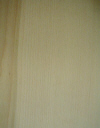 HickPecan.jpg (9701 bytes)