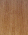 Koa.jpg (22069 bytes)