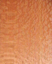 Lacewood.jpg (13623 bytes)