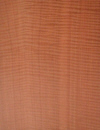 MakoreFidBk.jpg (19929 bytes)