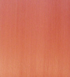 Redwood.jpg (17757 bytes)