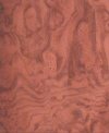 WalnutBurl.jpg (27512 bytes)